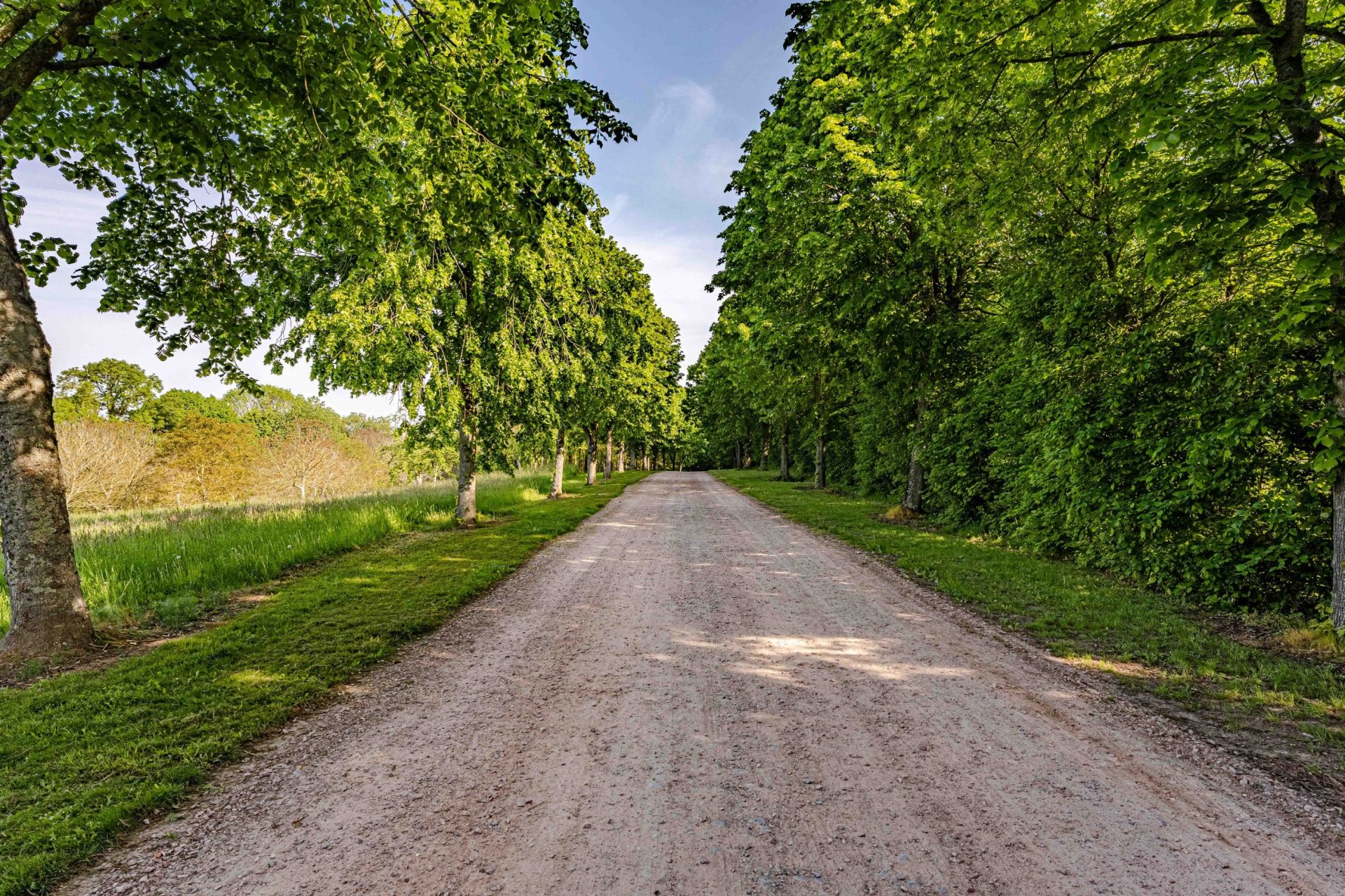 maison de luxe 40 Pièces en vente sur PONT L EVEQUE (14130)