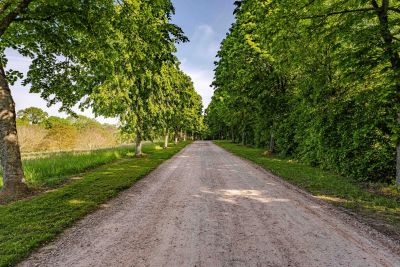 Vente Maison de luxe Pont-l'Évêque 40&nbsp;Pièces 1100&nbsp;m²