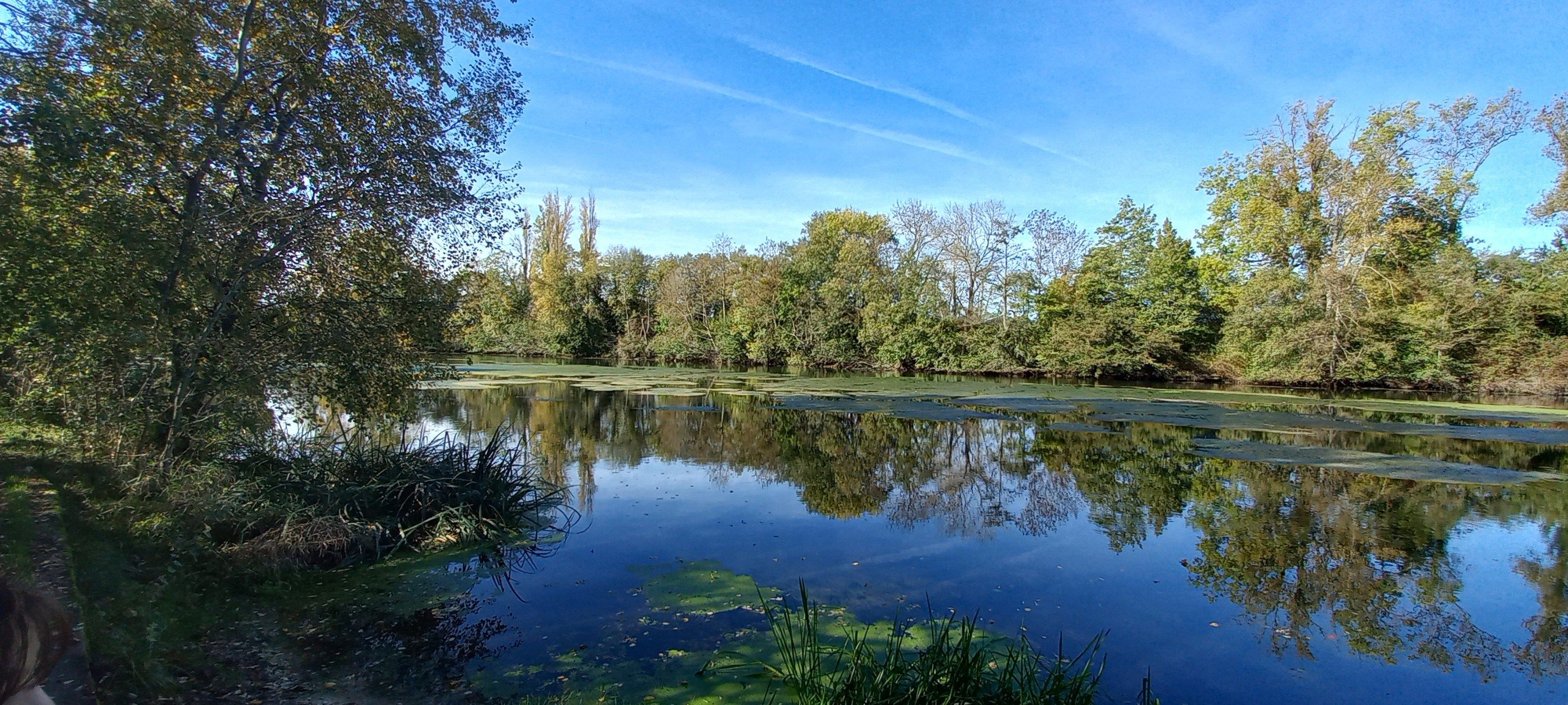 maison de luxe 4 Pièces en vente sur ST HILAIRE ST MESMIN (45160)