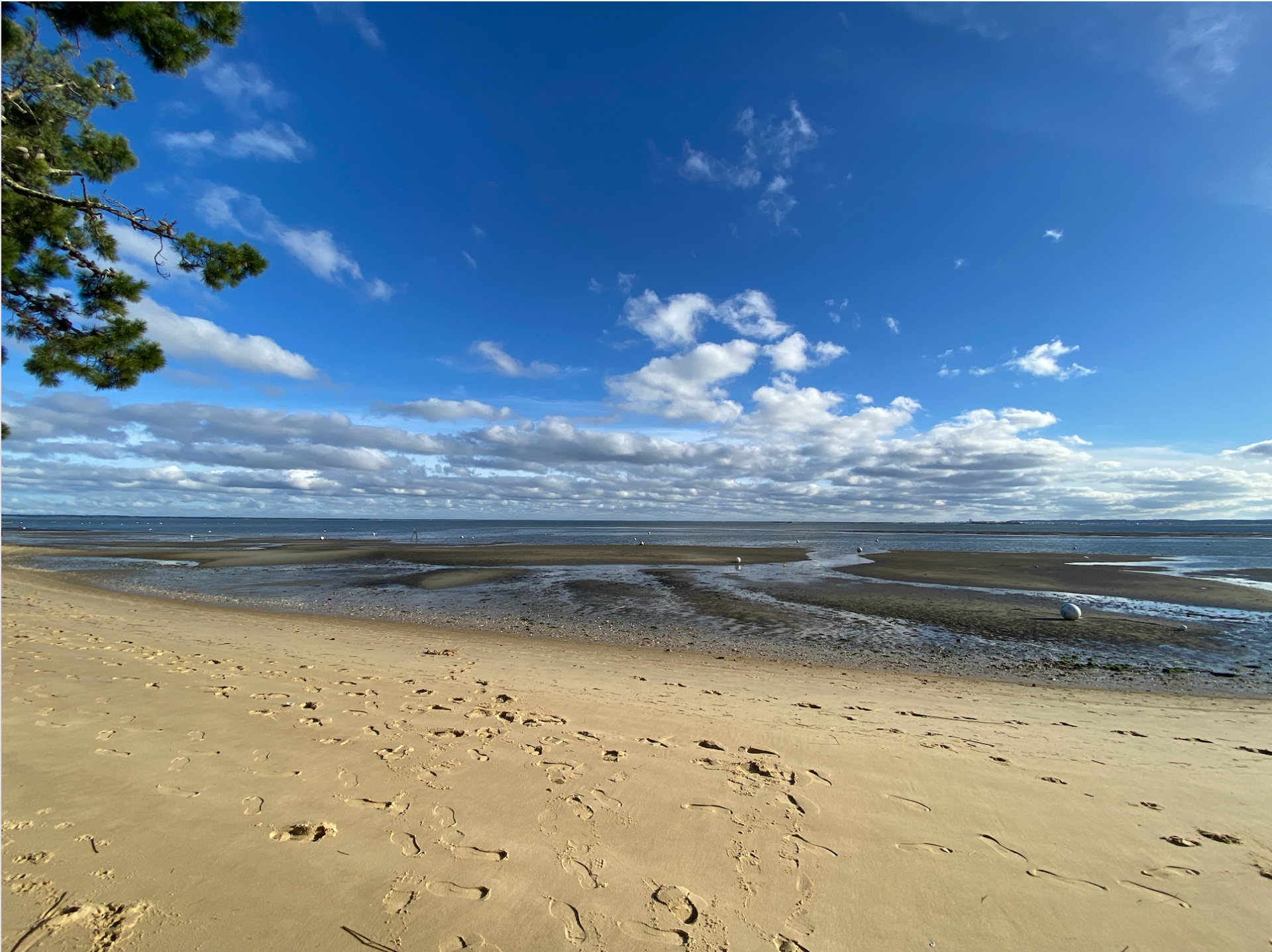 maison de luxe 7 Pièces en vente sur CAP FERRET (33970)