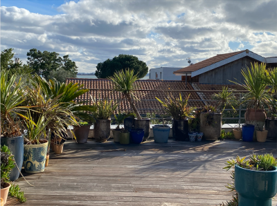 Vente Maison de luxe Cap-Ferret 7&nbsp;Pièces 222&nbsp;m²