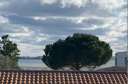 Vente Maison de luxe Cap-Ferret 7&nbsp;Pièces 222&nbsp;m²