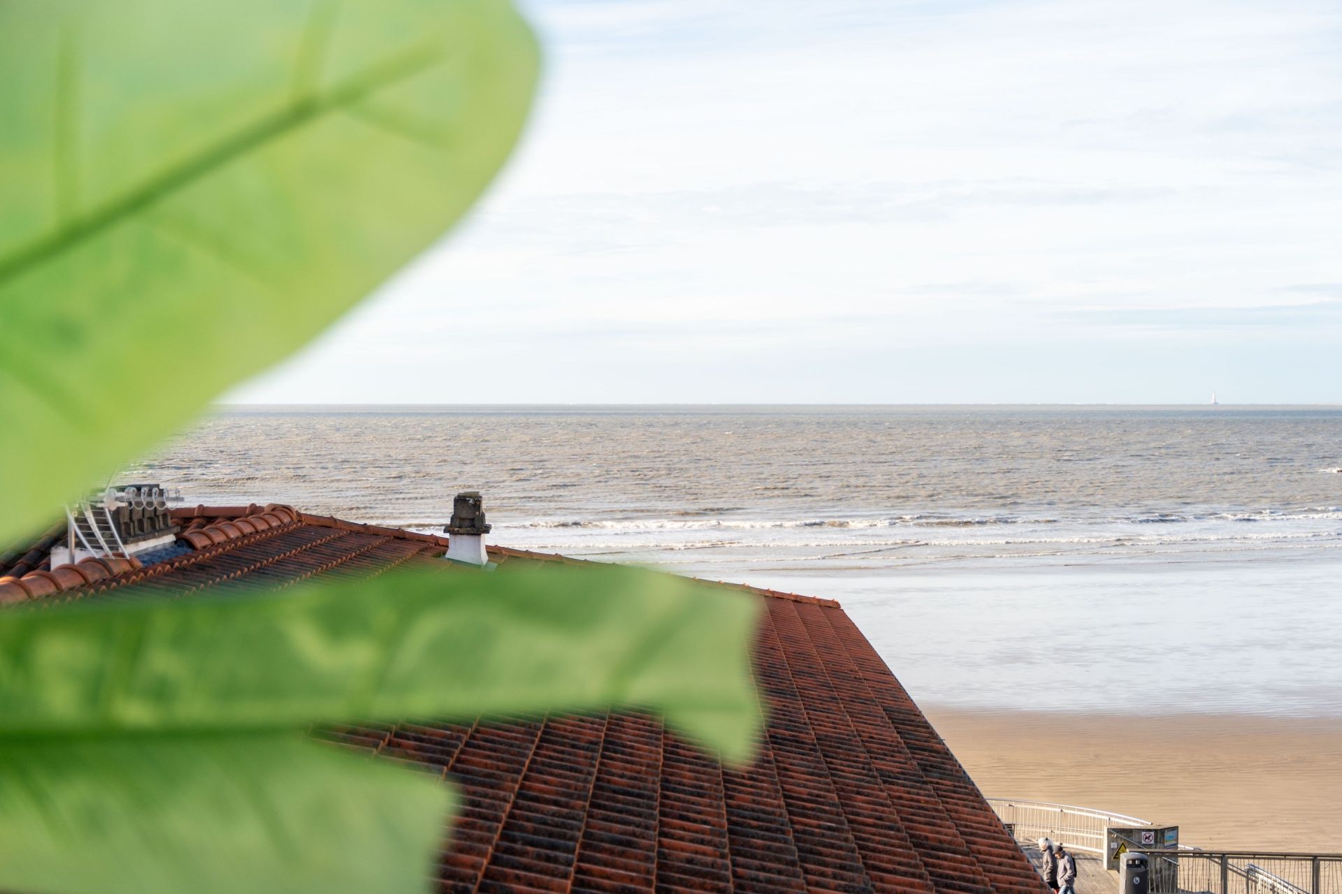 immeuble en vente sur ROYAN (17200)