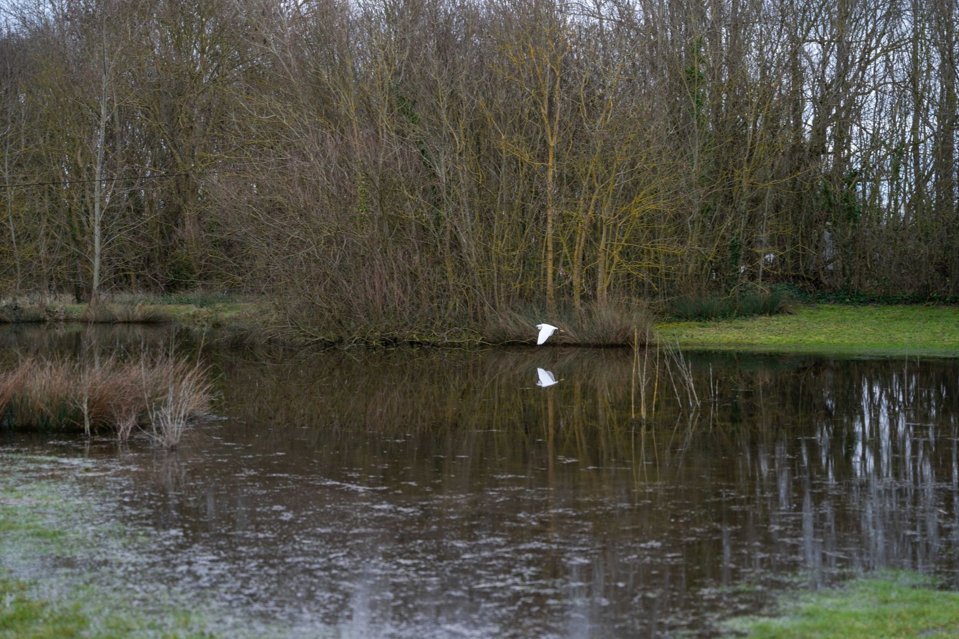 propriété de luxe 7 Pièces en vente sur CHATELAILLON PLAGE (17340)