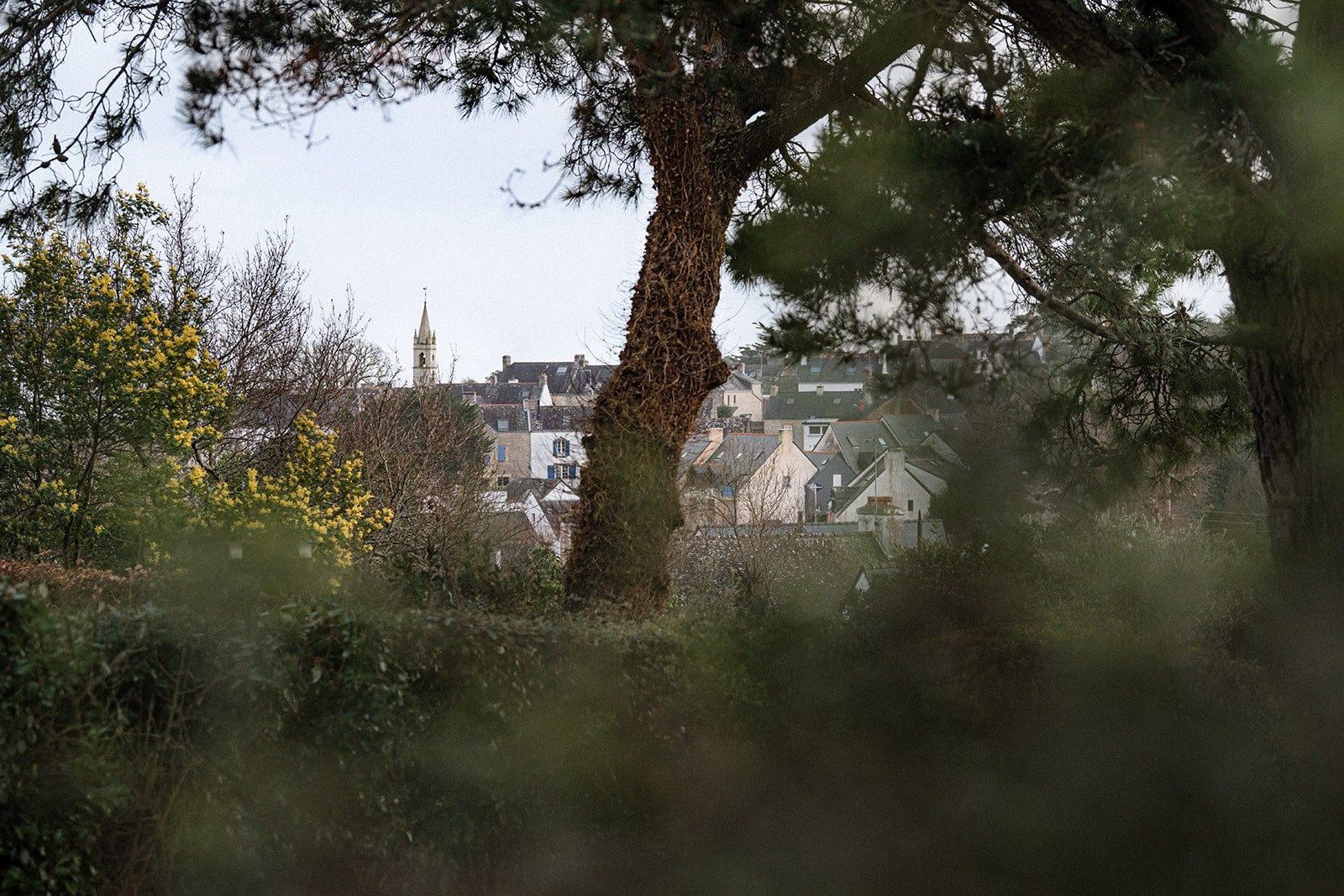 maison de luxe 4 Pièces en vente sur LA TRINITE SUR MER (56470)