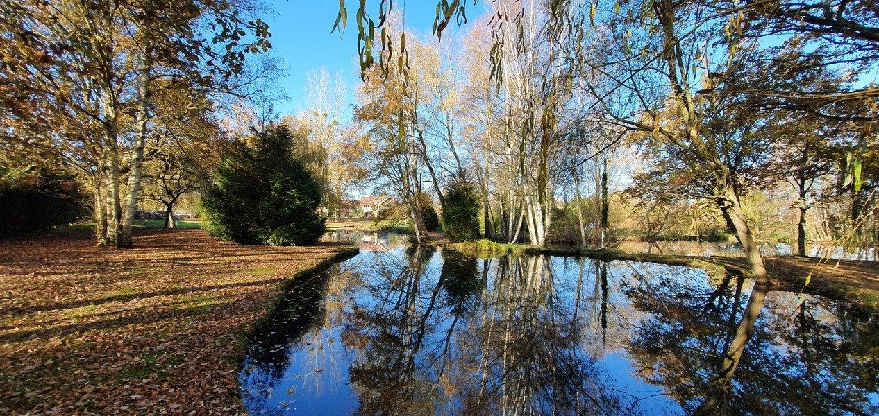 propriété de luxe 23 Pièces en vente sur ADAINVILLE (78113)