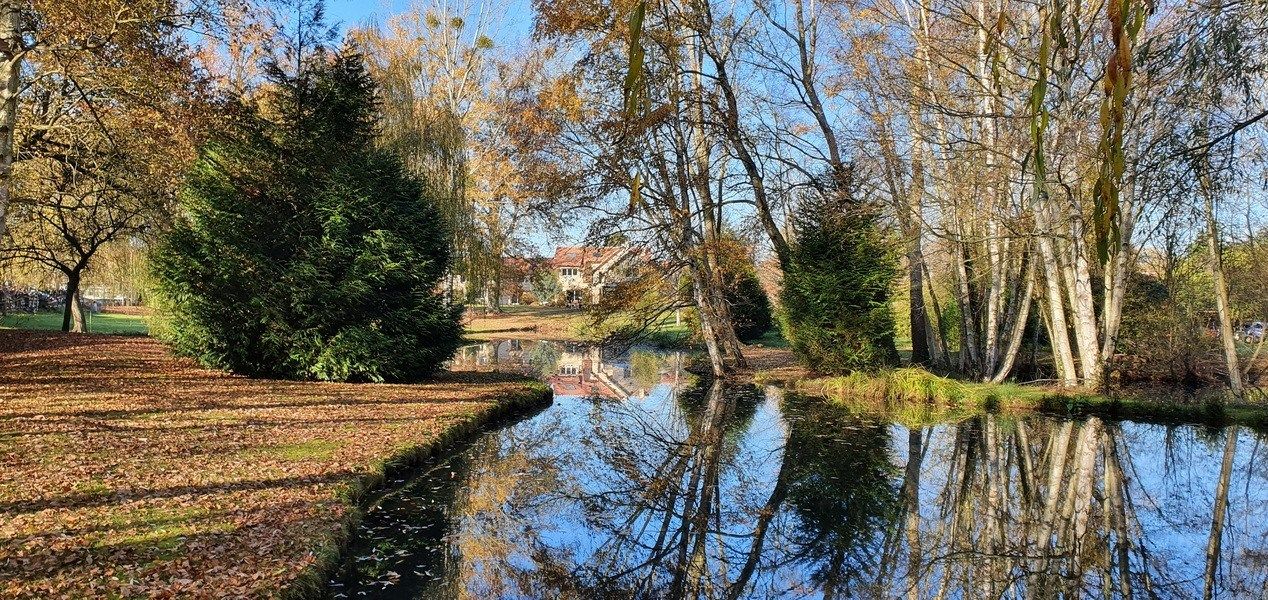 propriété de luxe 23 Pièces en vente sur ADAINVILLE (78113)