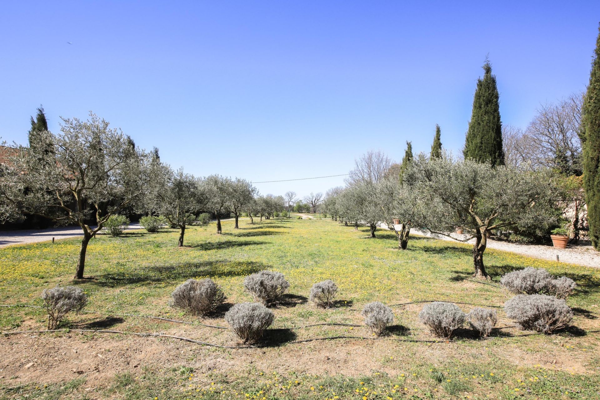 maison de luxe 5 Pièces en location sur AIX EN PROVENCE (13100)