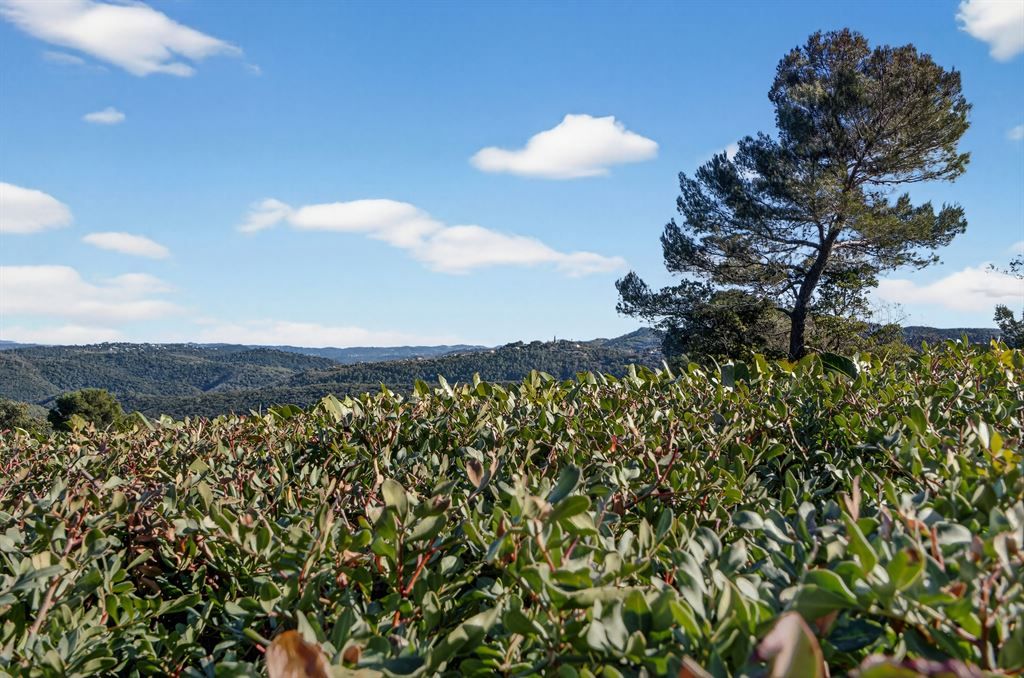 luxury provencale house 6 Rooms for sale on MONTAUROUX (83440)