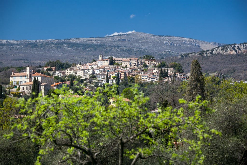 maison provençale de luxe 20 Pièces en vente sur OPIO (06650)