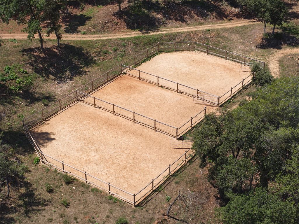 propriété équestre 14 Pièces en vente sur ROQUEFORT LES PINS (06330)