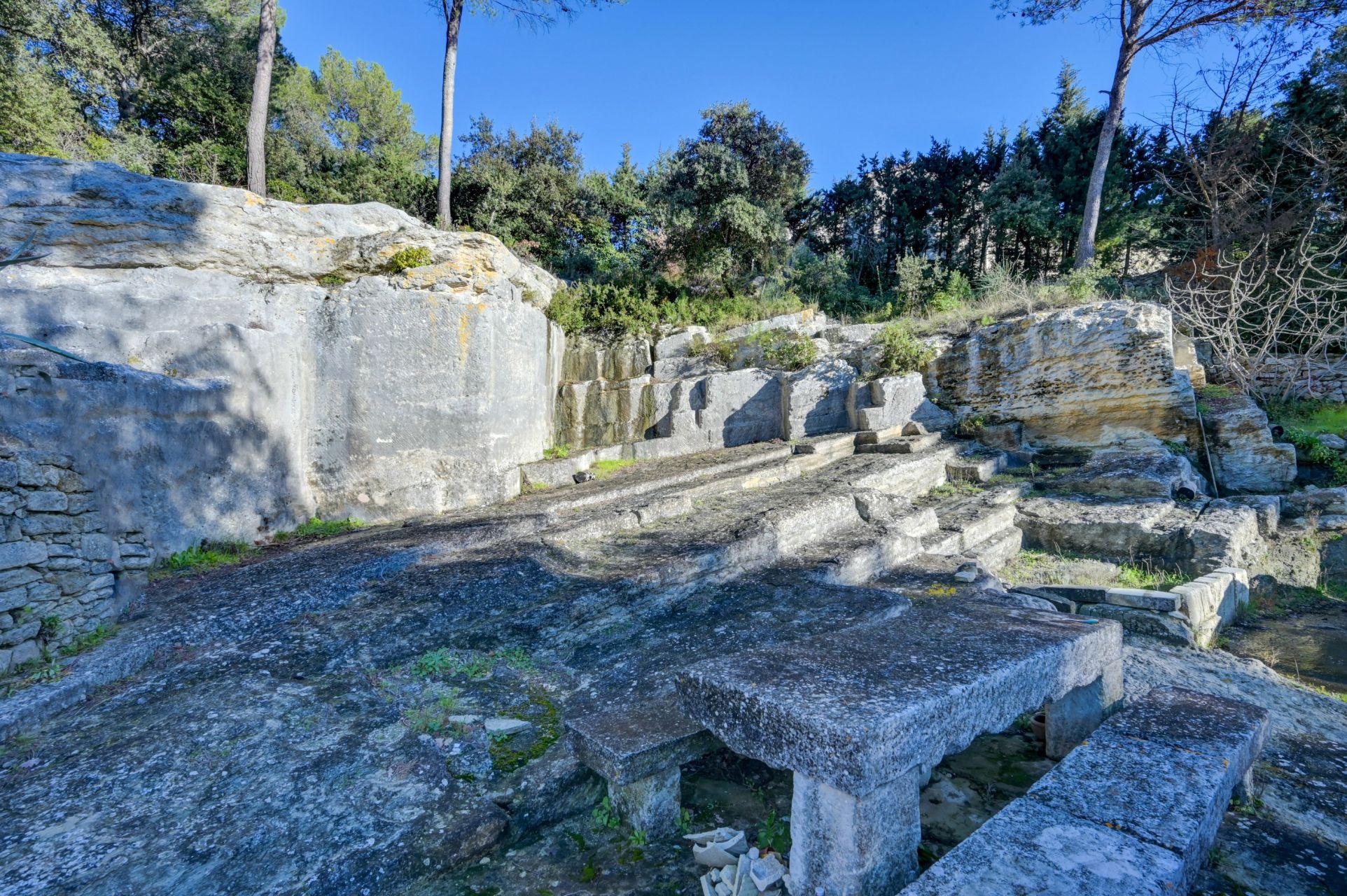 maison provençale de luxe 5 Pièces en vente sur ST REMY DE PROVENCE (13210)