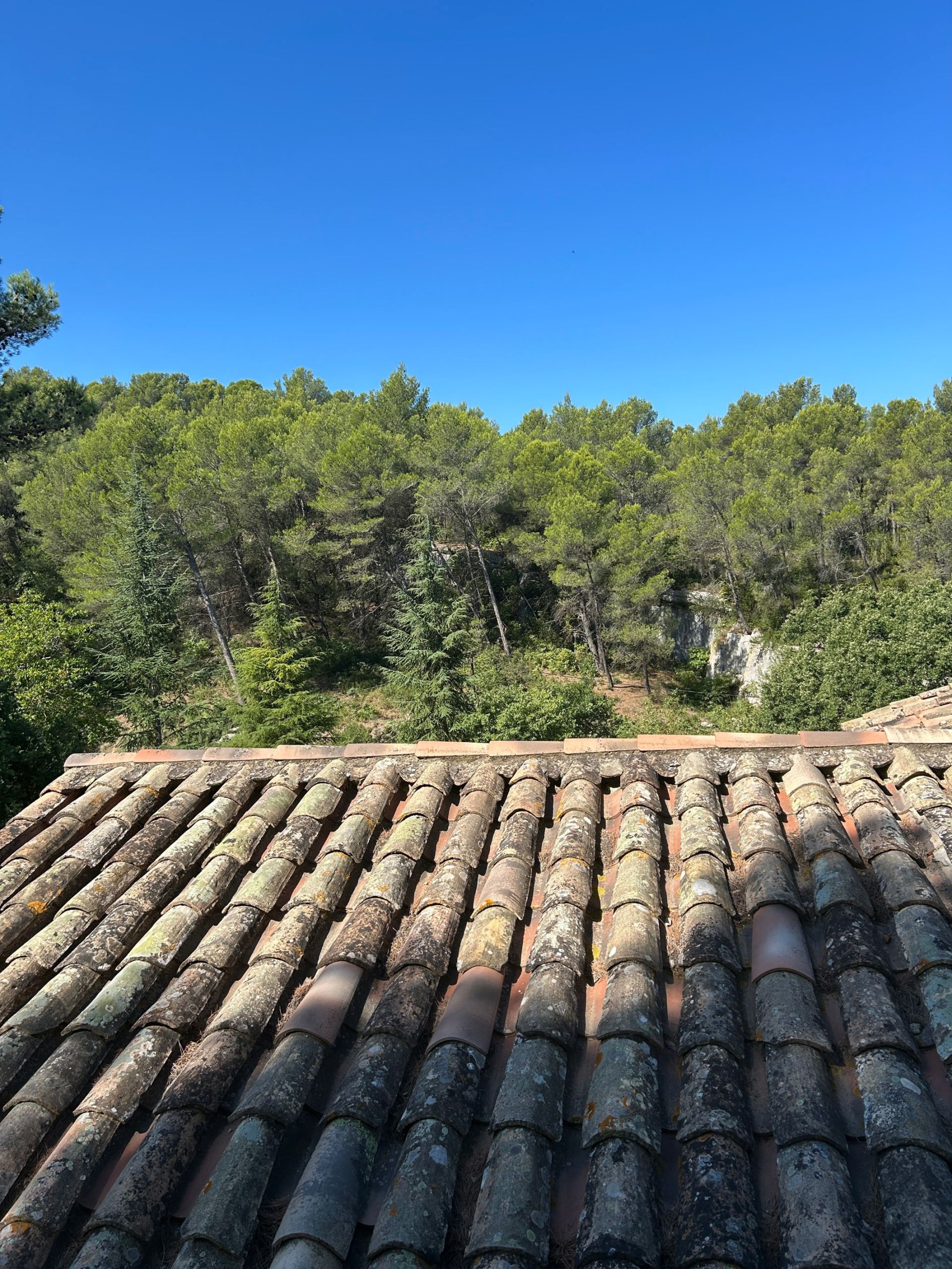 maison provençale de luxe 5 Pièces en vente sur ST REMY DE PROVENCE (13210)