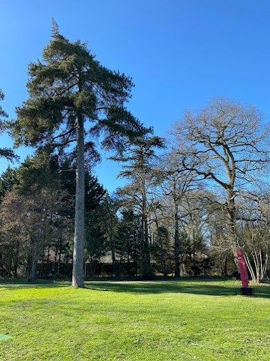 luxury property 92 Rooms for sale on ANGERS (49000)
