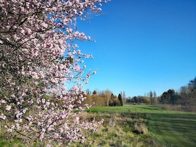 propriété de luxe 116 Pièces en vente sur ANGERS (49000)