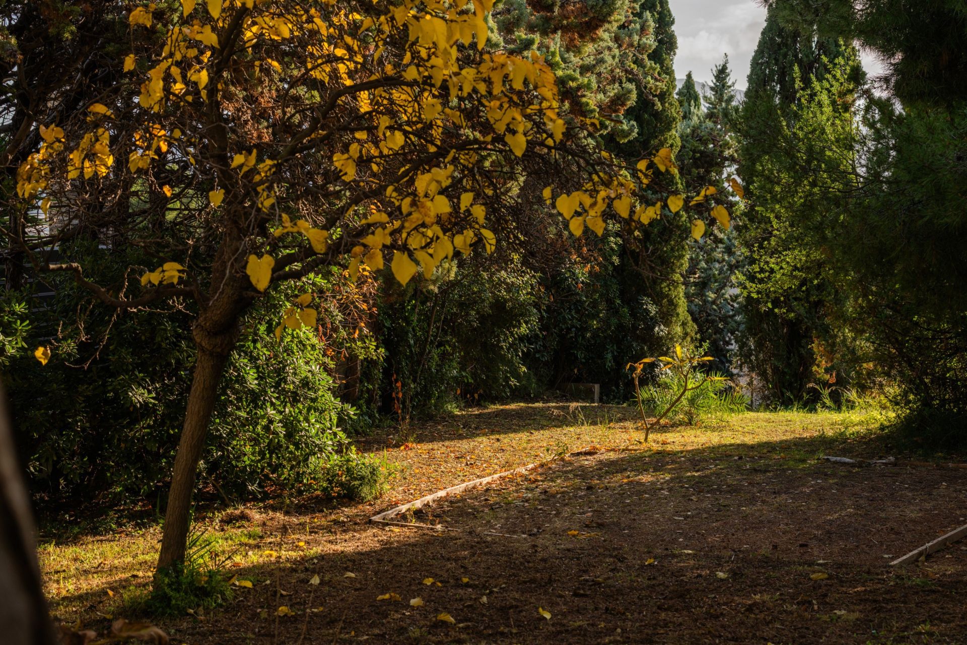 maison d'architecte 5 Pièces en vente sur MARSEILLE (13007)