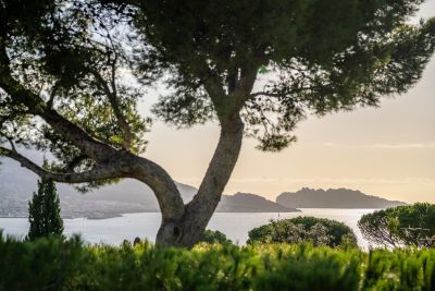 Vente Maison d'architecte Marseille 7 5&nbsp;Pièces 252&nbsp;m²