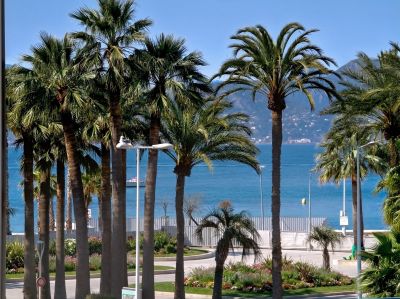 Sale Mansion Cannes 7&nbsp;Rooms 340&nbsp;m²