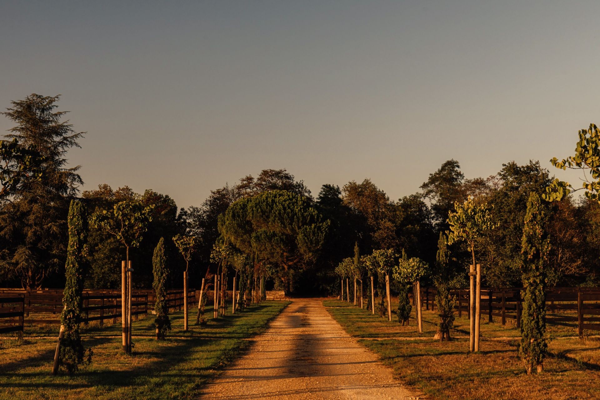 castle 15 Rooms for sale on ST EMILION (33330)