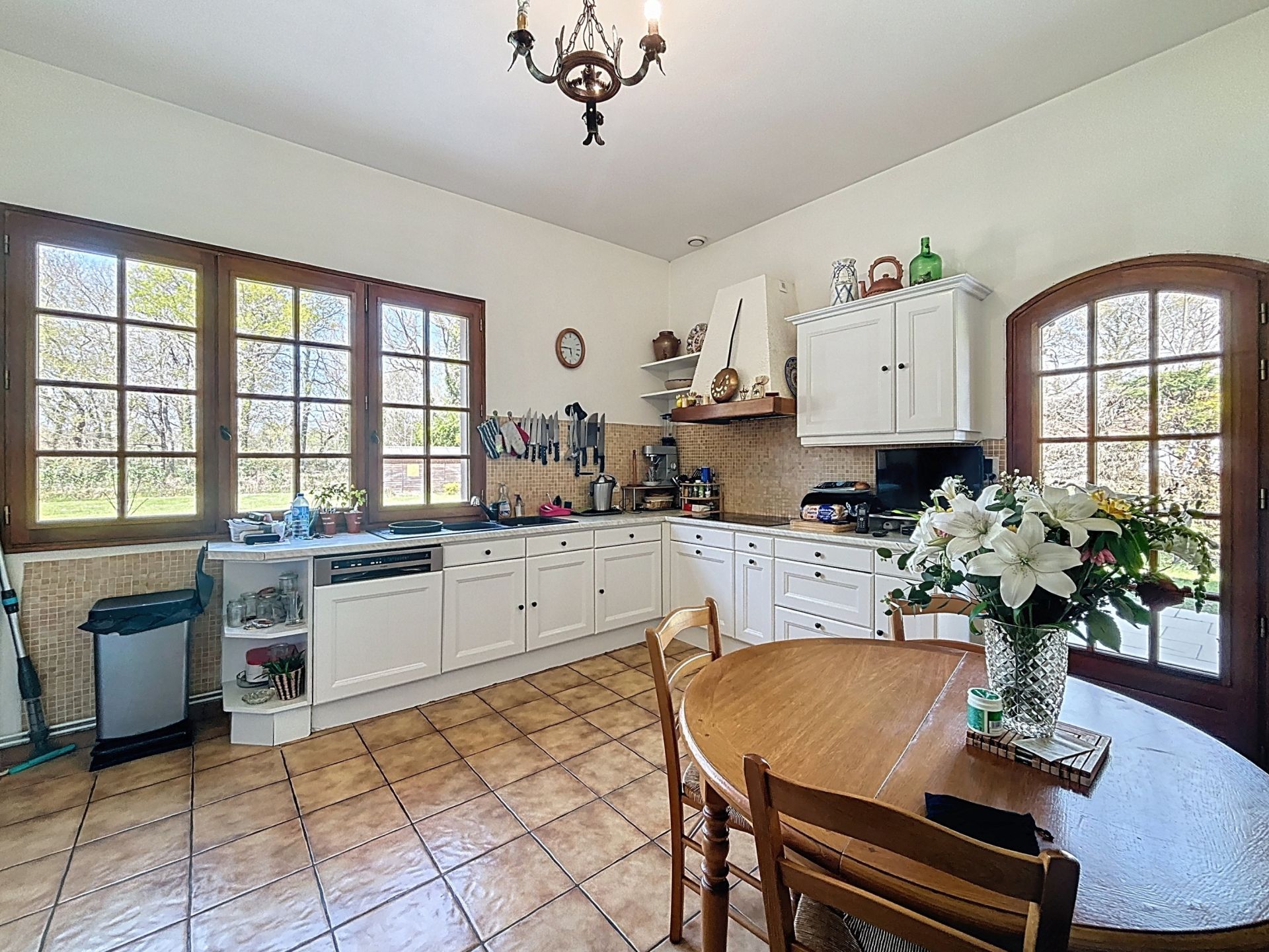 maison de luxe 10 Pièces en vente sur MIMIZAN (40200)