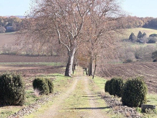 luxury house 8 Rooms for sale on SOLOMIAC (32120)