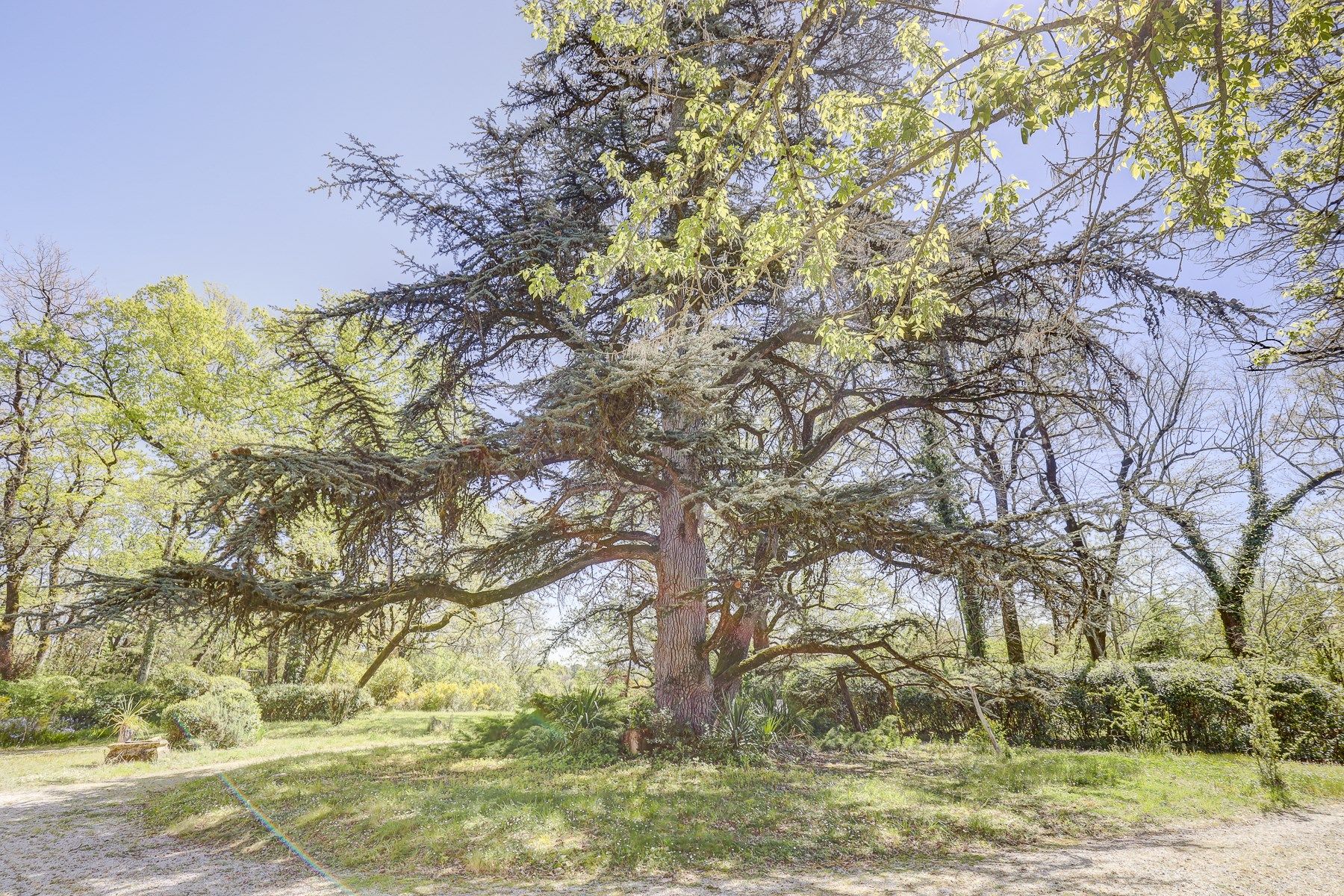 maison de maître 7 Pièces en vente sur CASTRES (81100)