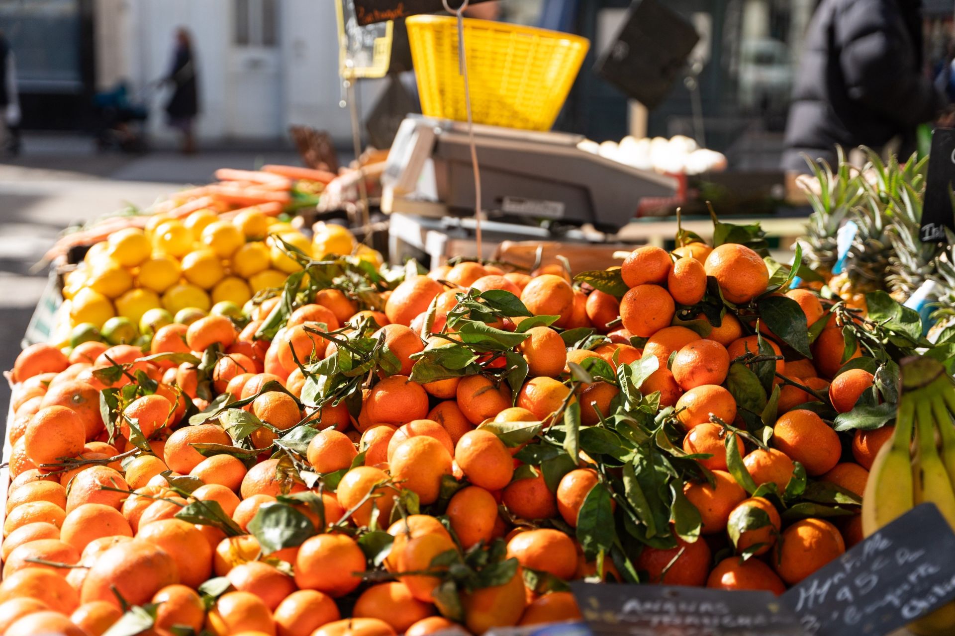 appartement de luxe 3 Pièces en vente sur LA ROCHELLE (17000)