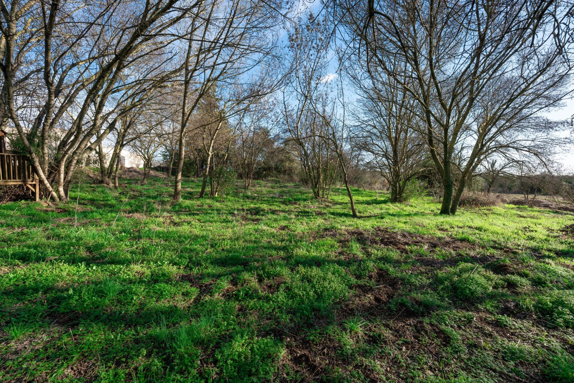 maison de luxe 6 Pièces en vente sur CASTRIES (34160)