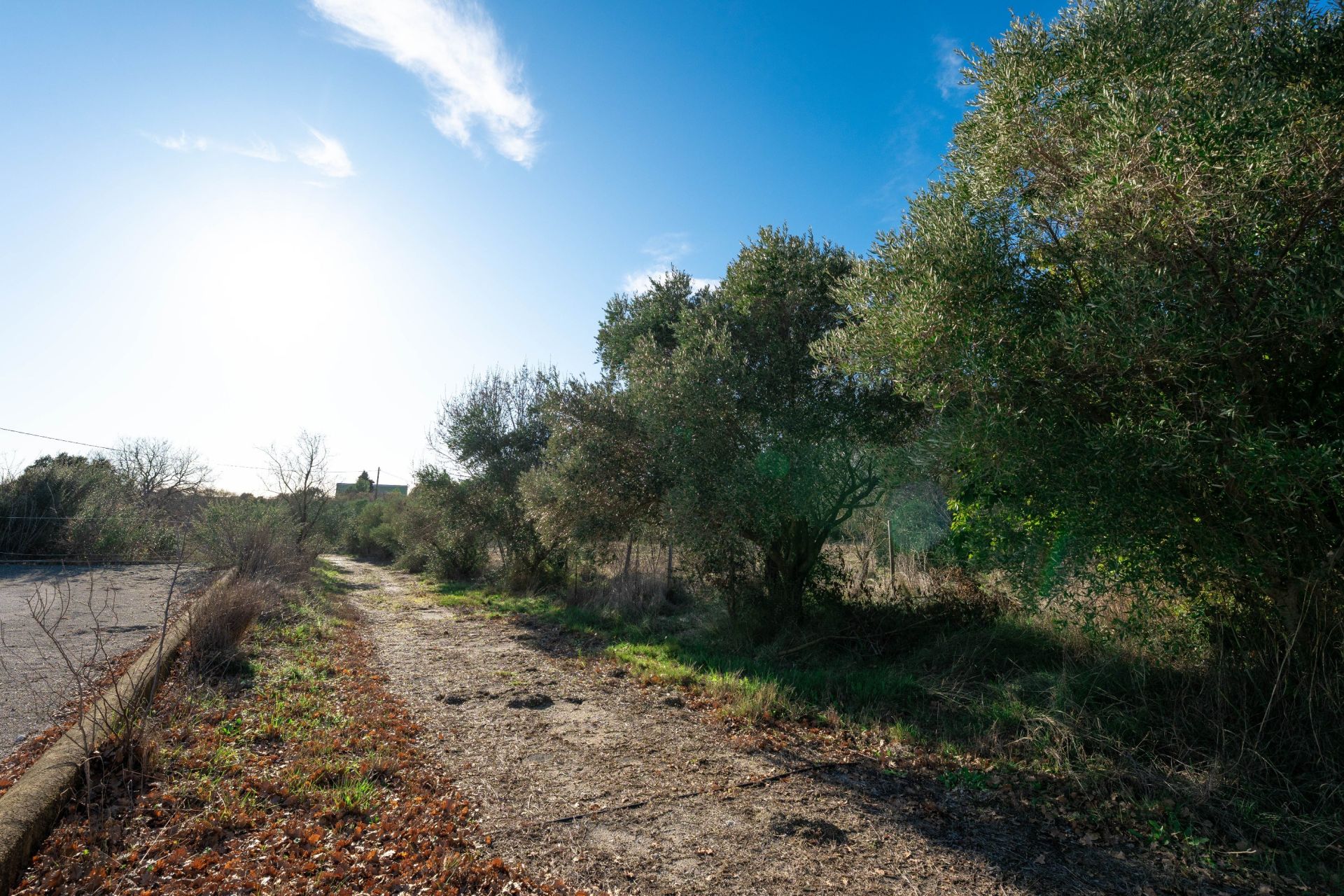 maison de luxe 6 Pièces en vente sur CASTRIES (34160)