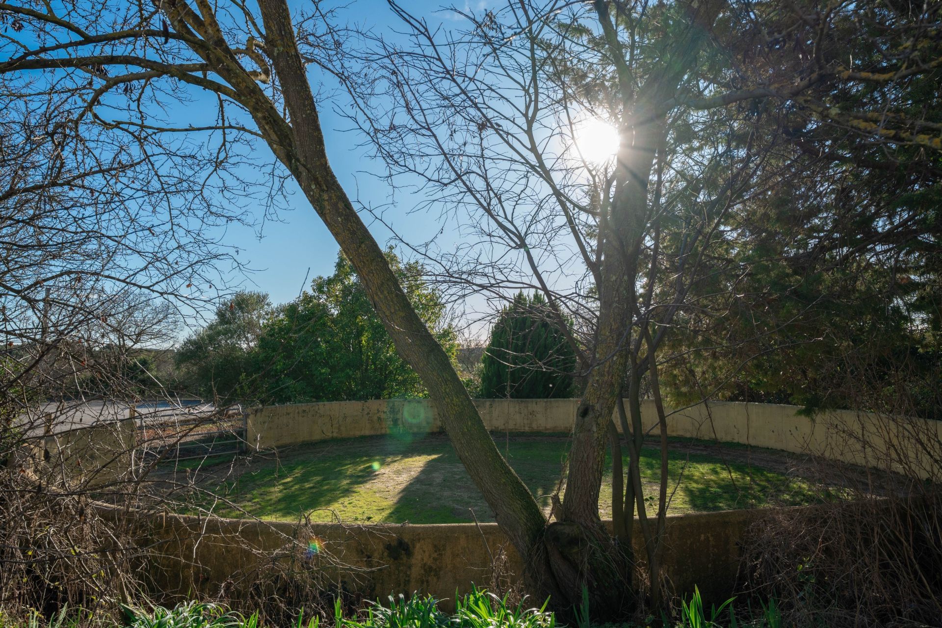 maison de luxe 6 Pièces en vente sur CASTRIES (34160)