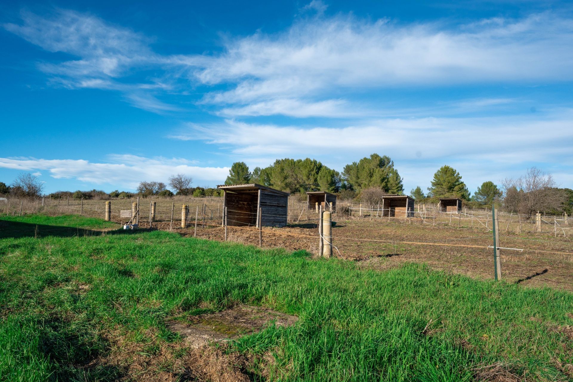 maison de luxe 6 Pièces en vente sur CASTRIES (34160)