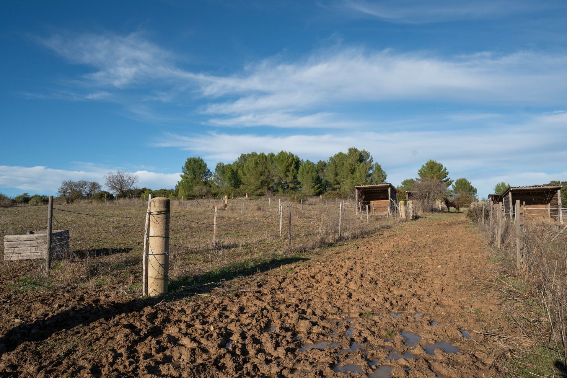 maison de luxe 6 Pièces en vente sur CASTRIES (34160)