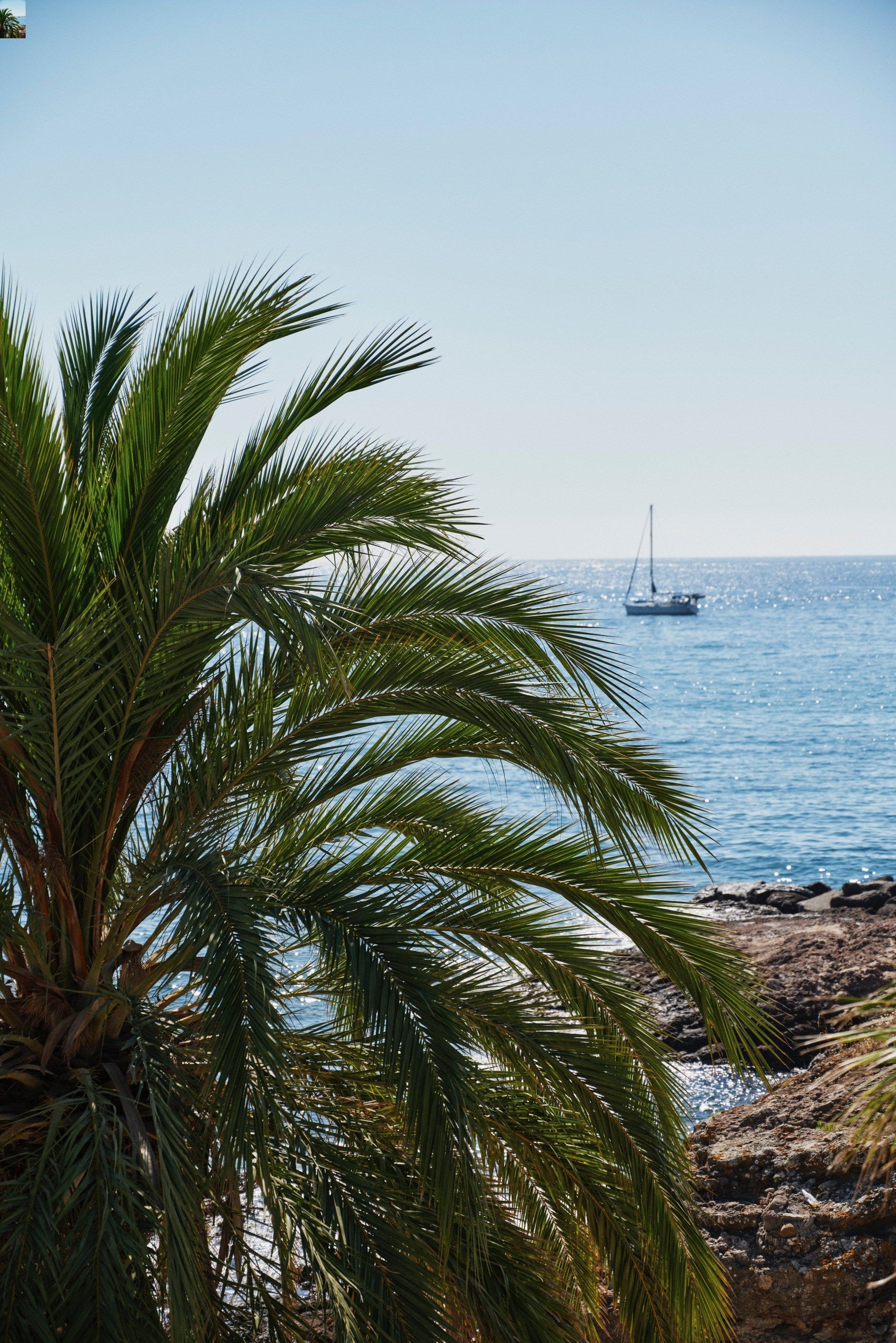 maison contemporaine 10 Pièces en vente sur MANDELIEU LA NAPOULE (06210)