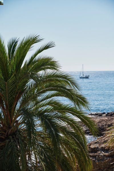 Vente Maison contemporaine Mandelieu-la-Napoule 10&nbsp;Pièces 470&nbsp;m²