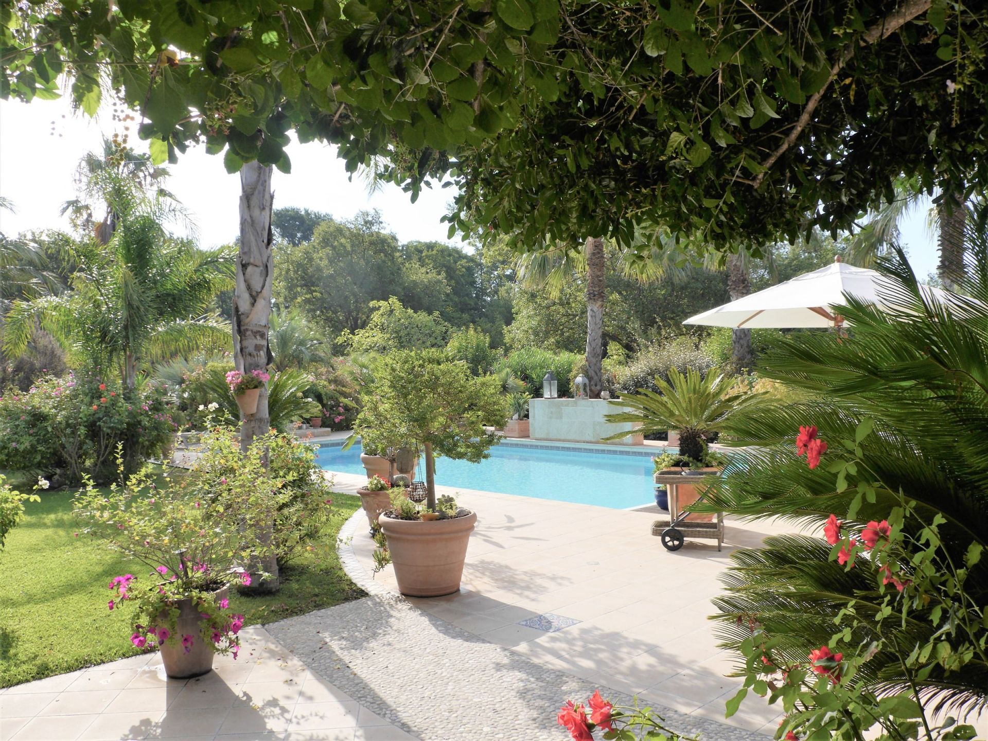 propriété de luxe 8 Pièces en vente sur PERPIGNAN (66000)