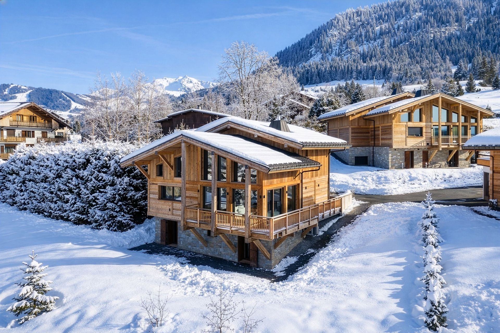 luxury chalet 8 Rooms for seasonal rent on MEGEVE (74120)