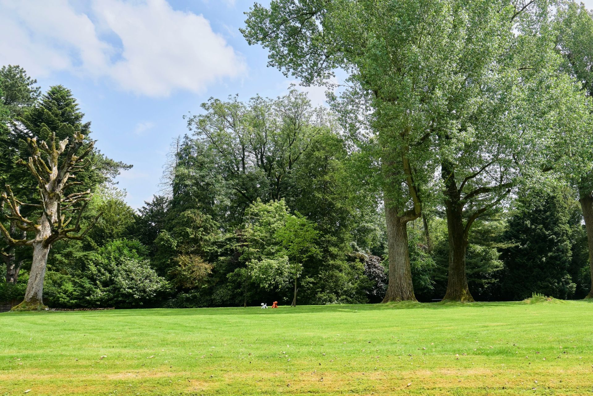 maison de luxe 12 Pièces en vente sur WERVICQ SUD (59117)