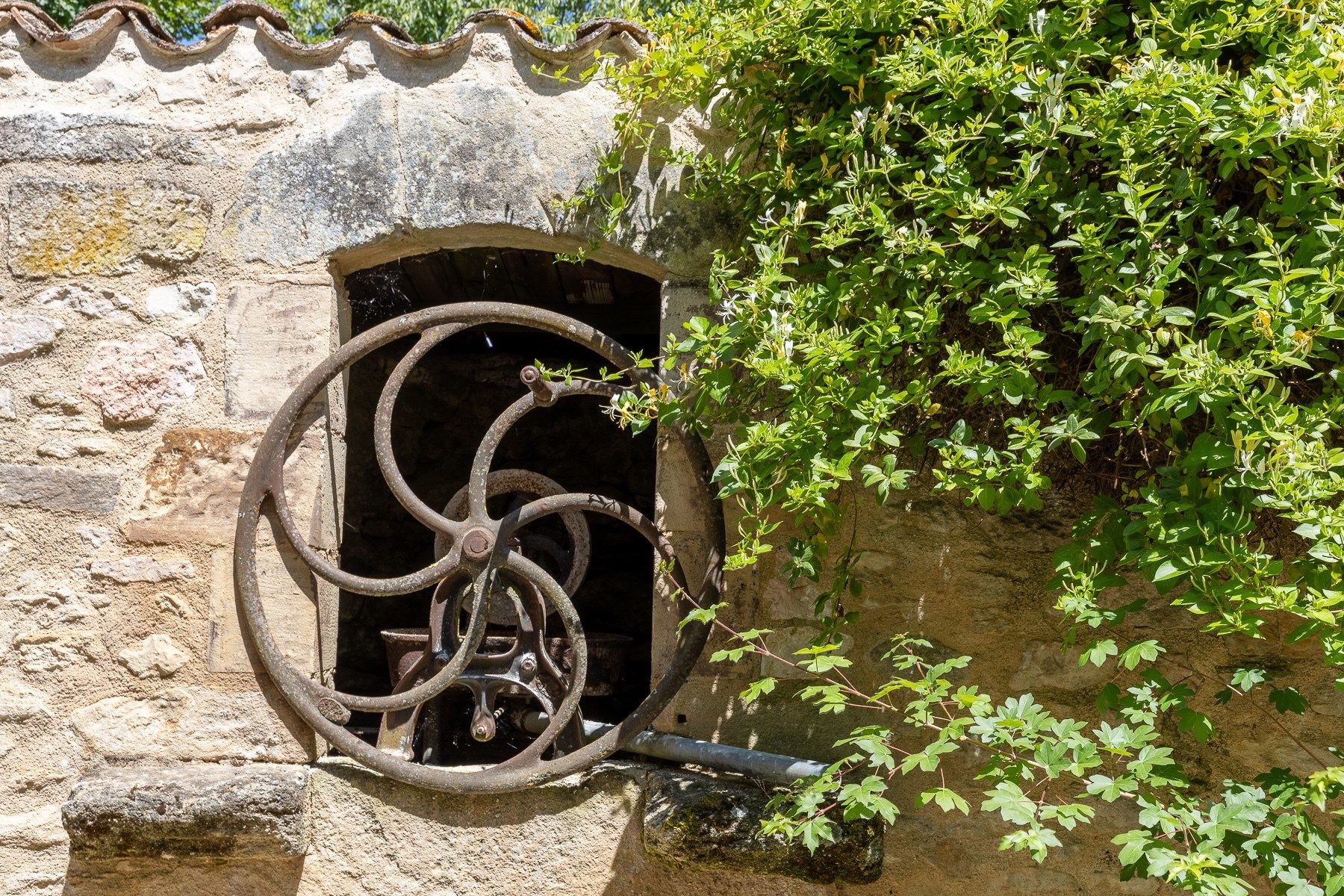 maison de luxe 18 Pièces en vente sur ALBI (81000)