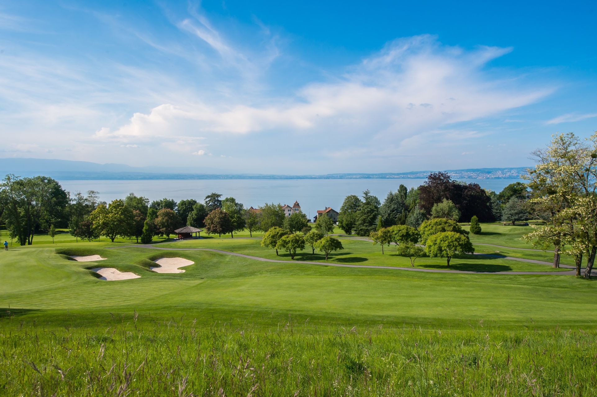 luxury villa 10 Rooms for sale on EVIAN LES BAINS (74500)