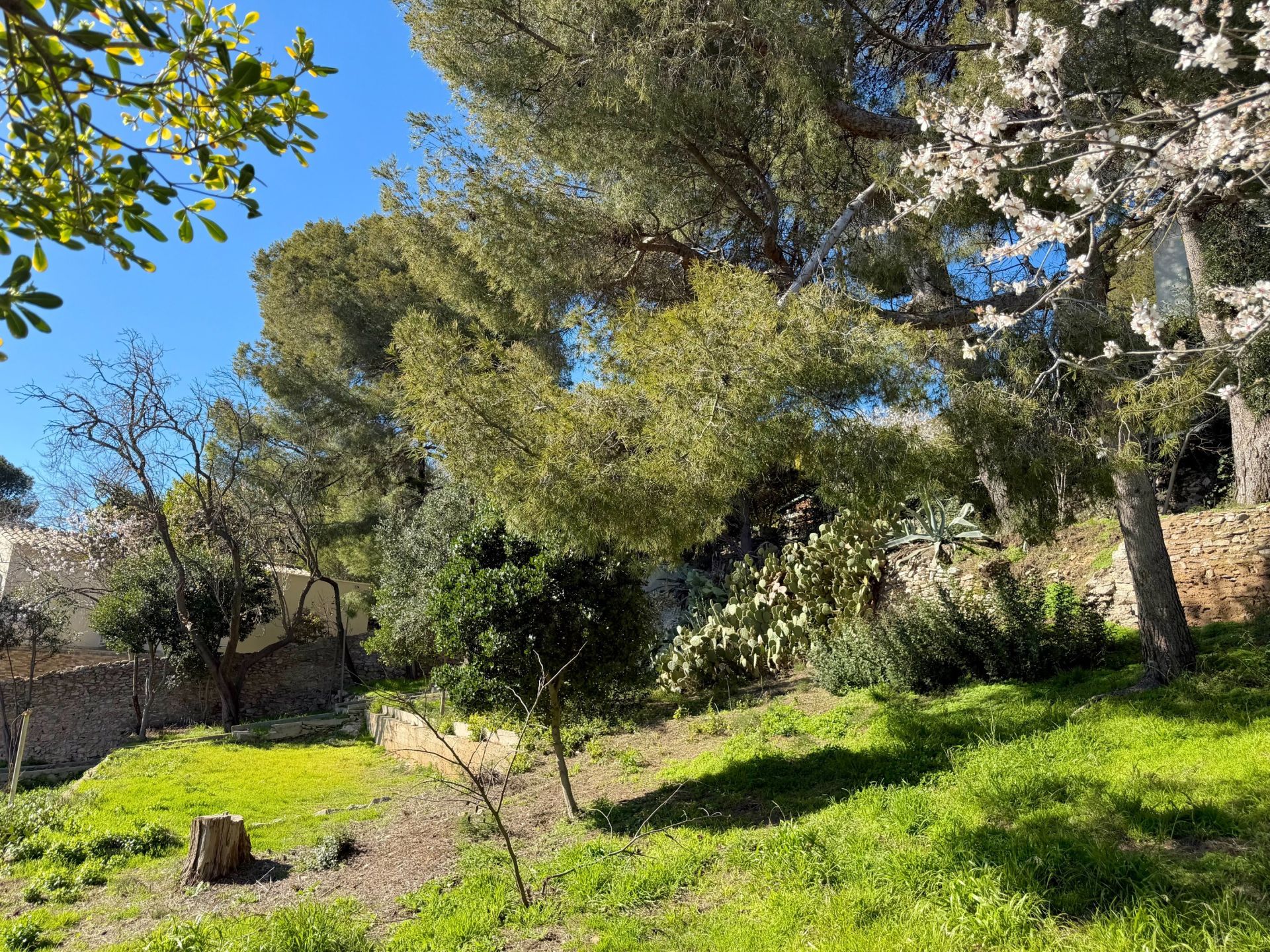 maison de luxe 4 Pièces en vente sur SETE (34200)