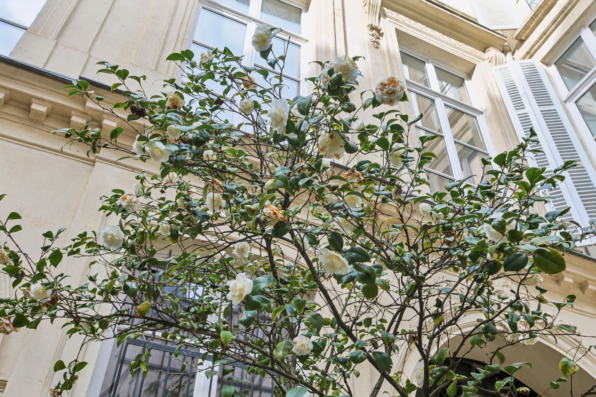 appartement de luxe 2 Pièces en vente sur PARIS (75007)