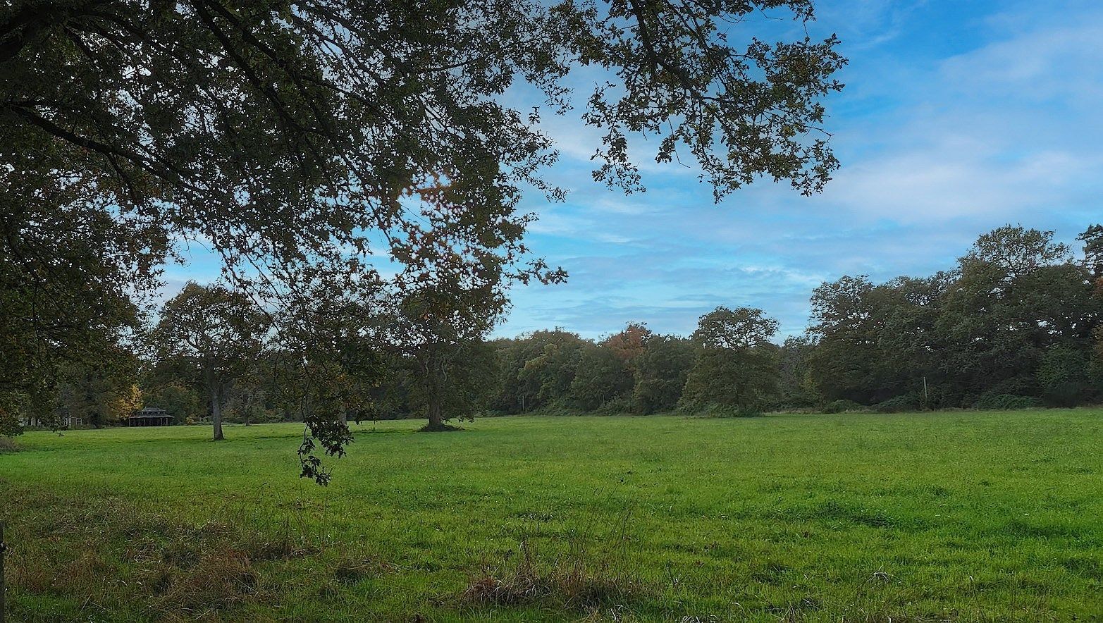 maison de luxe 24 Pièces en vente sur ANGERS (49000)