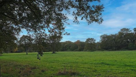 Vente Maison de luxe Angers 24&nbsp;Pièces 896&nbsp;m²