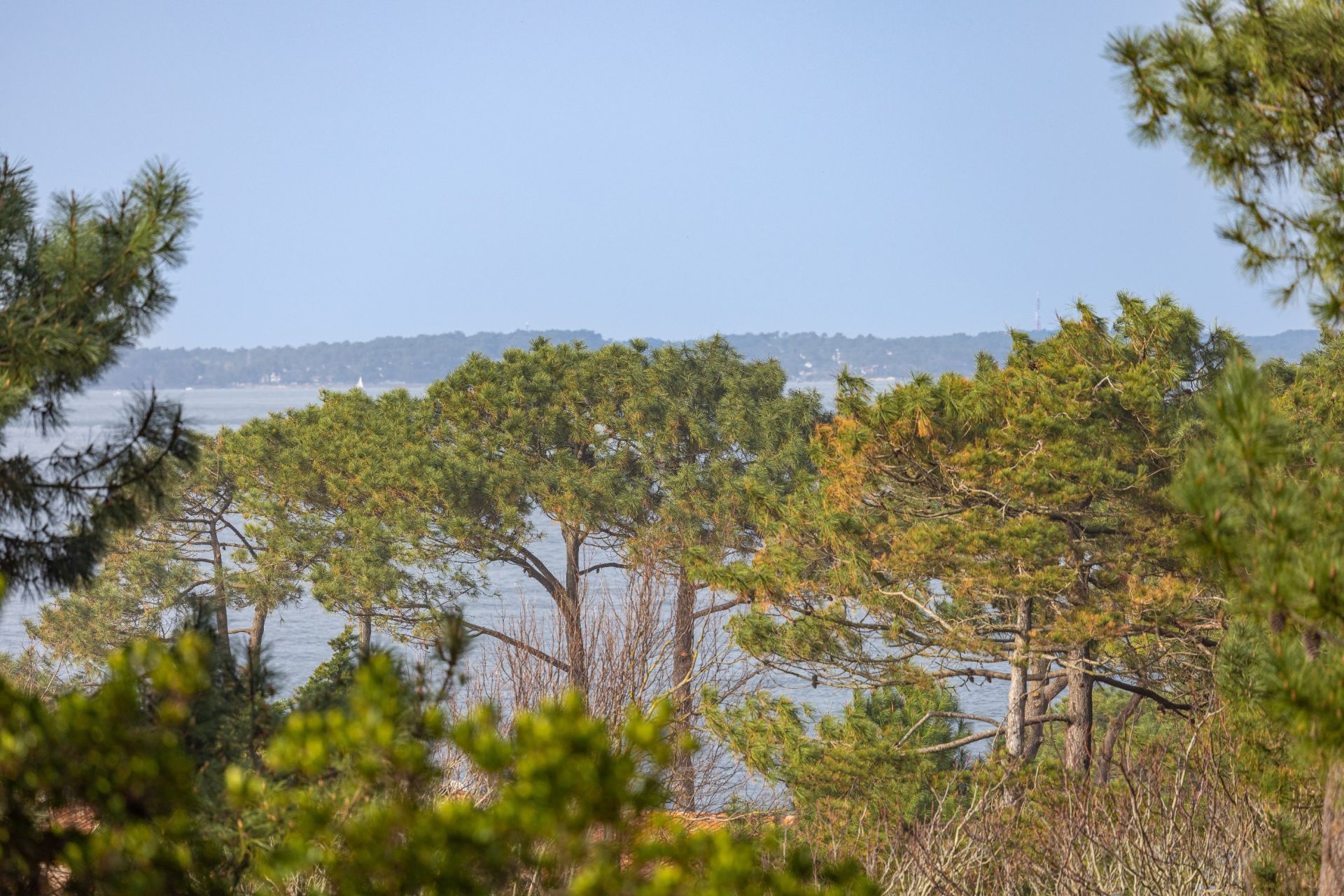 maison de luxe 5 Pièces en vente sur PYLA SUR MER (33115)