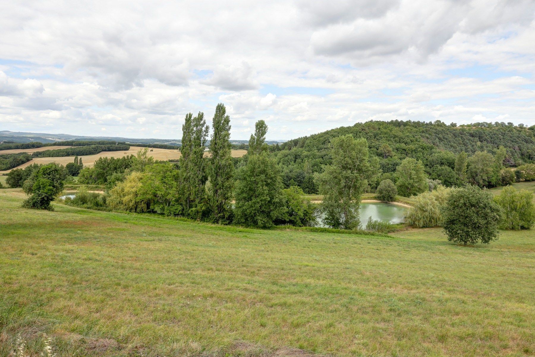 maison de luxe 10 Pièces en vente sur CASTELNAU DE MONTMIRAL (81140)