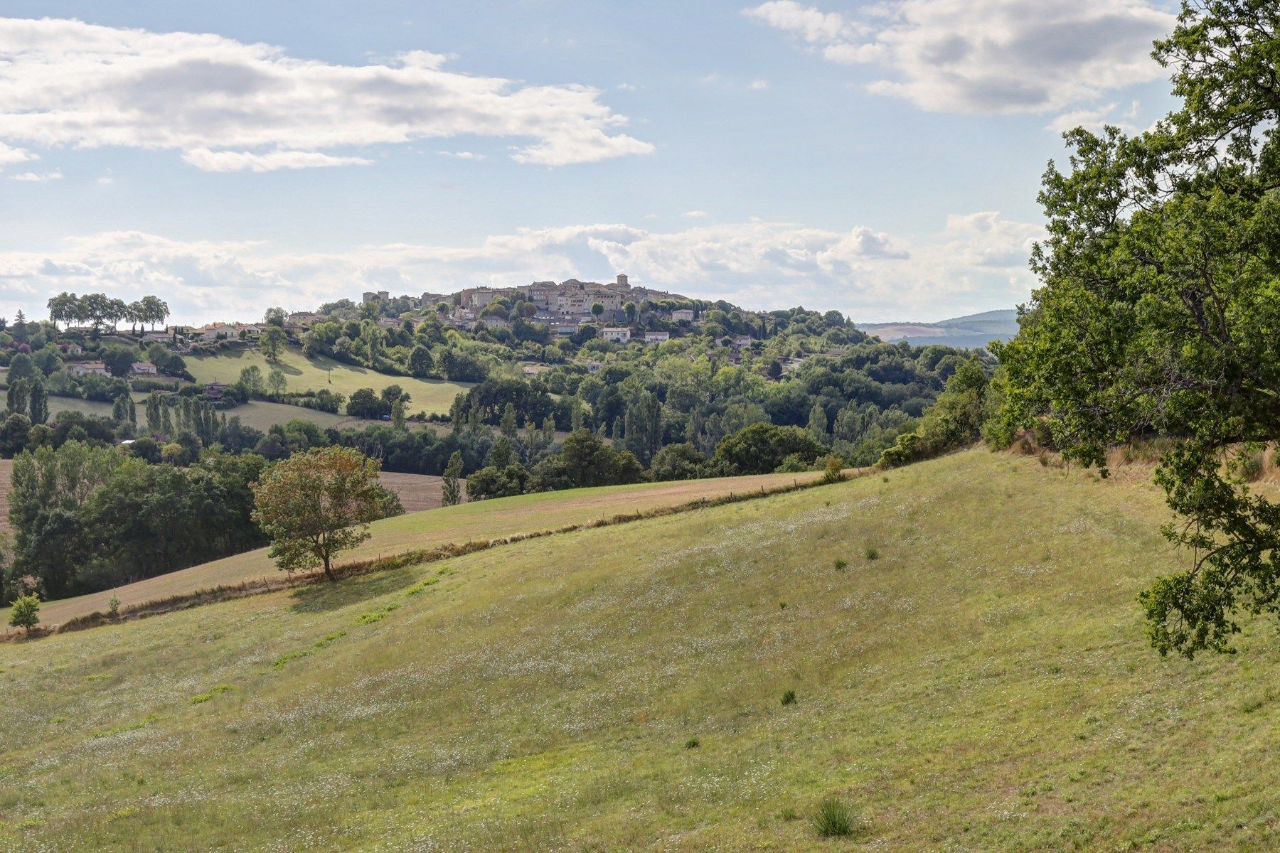 maison de luxe 10 Pièces en vente sur CASTELNAU DE MONTMIRAL (81140)