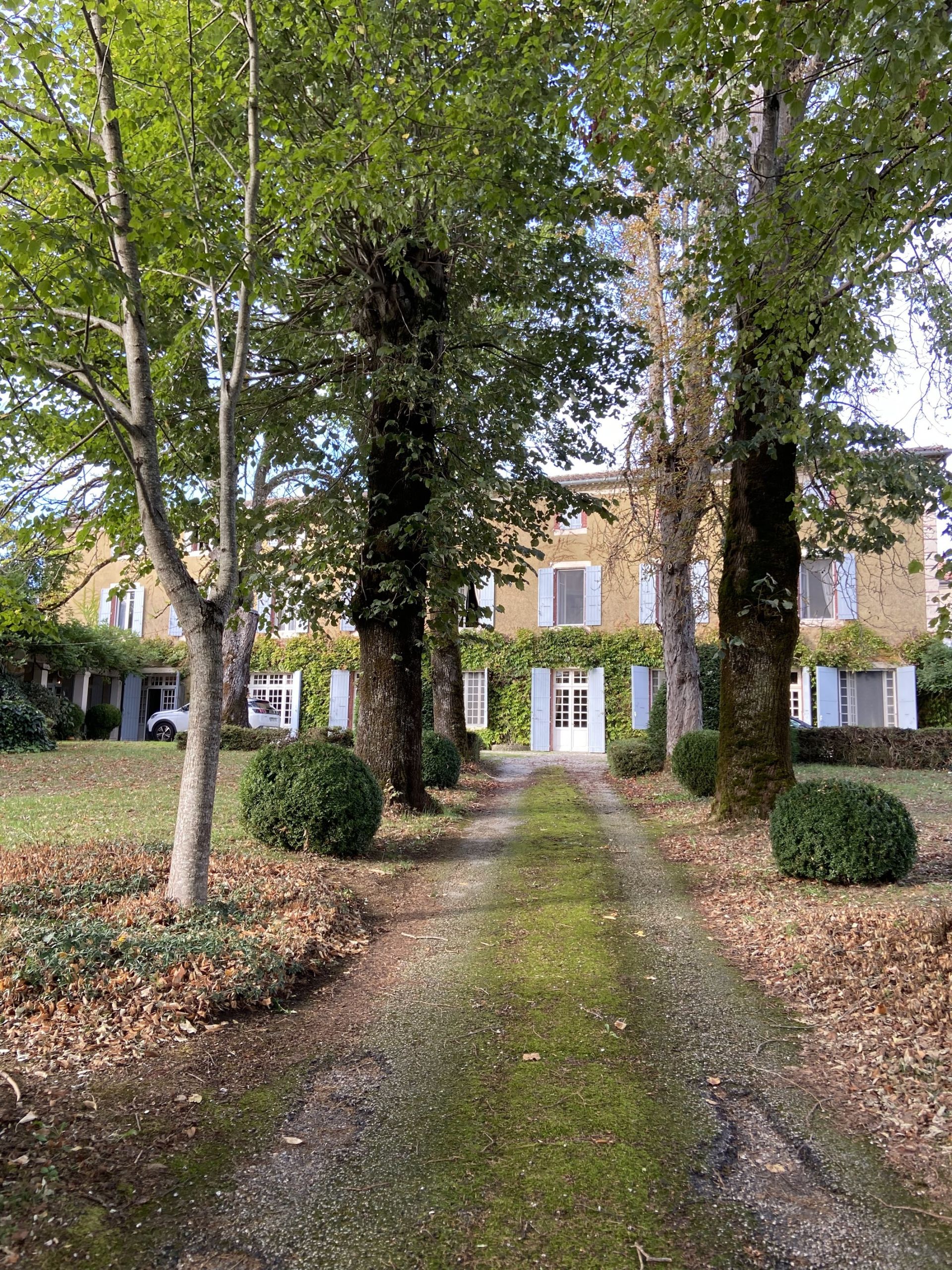 maison de luxe 16 Pièces en vente sur CASTRES (81100)
