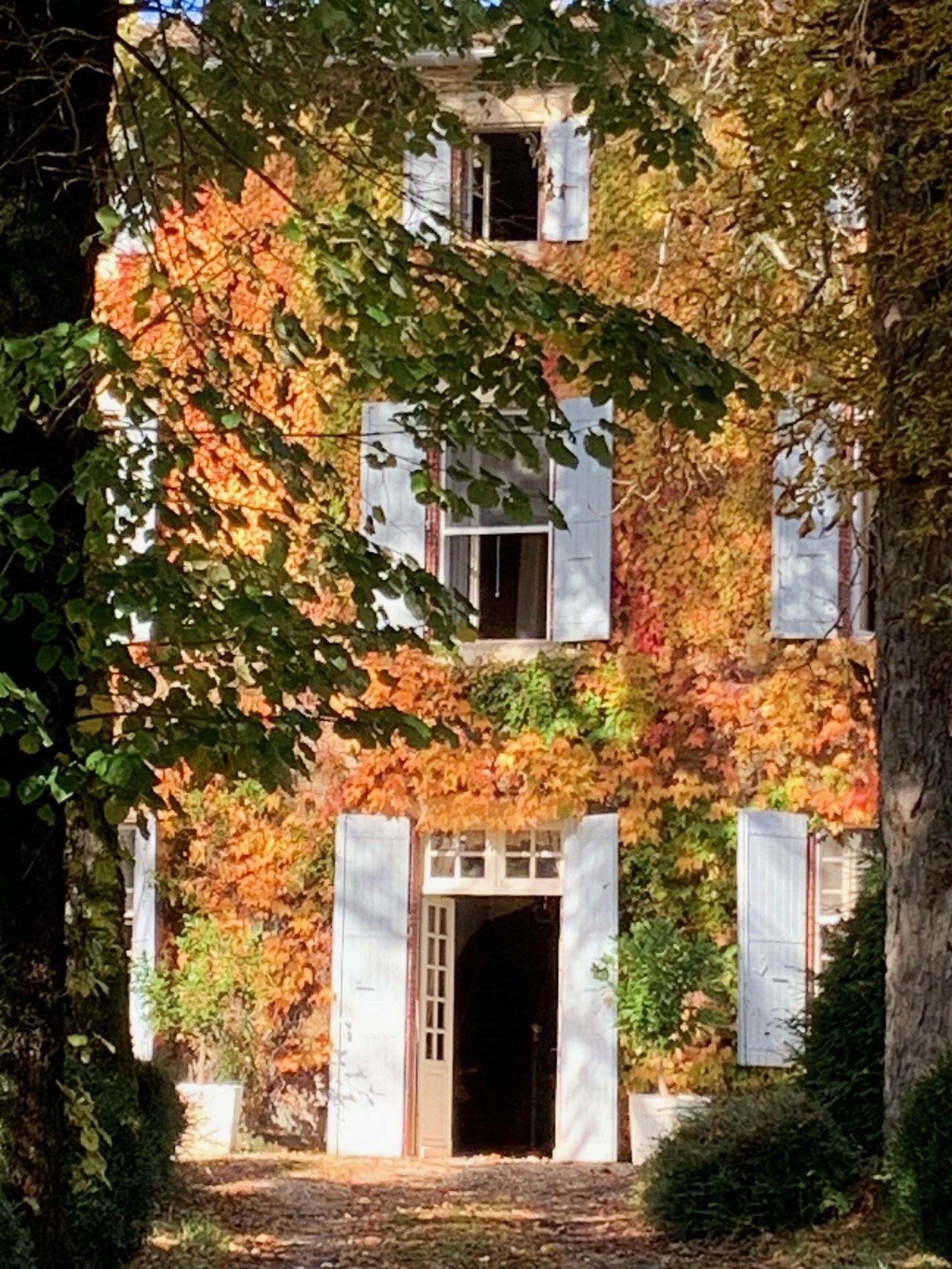 maison de luxe 16 Pièces en vente sur CASTRES (81100)