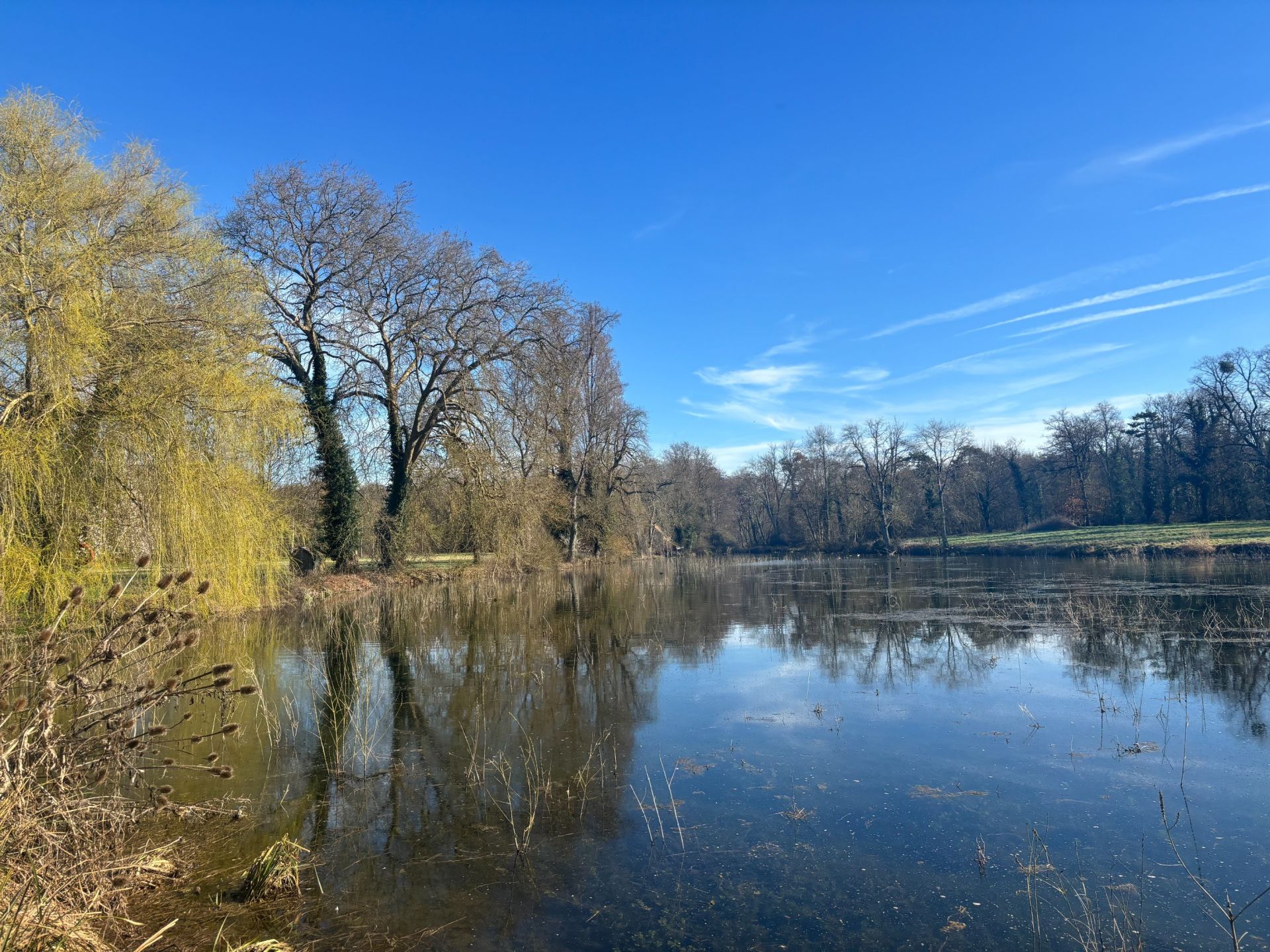 château 22 Pièces en vente sur HUISSEAU SUR MAUVES (45130)