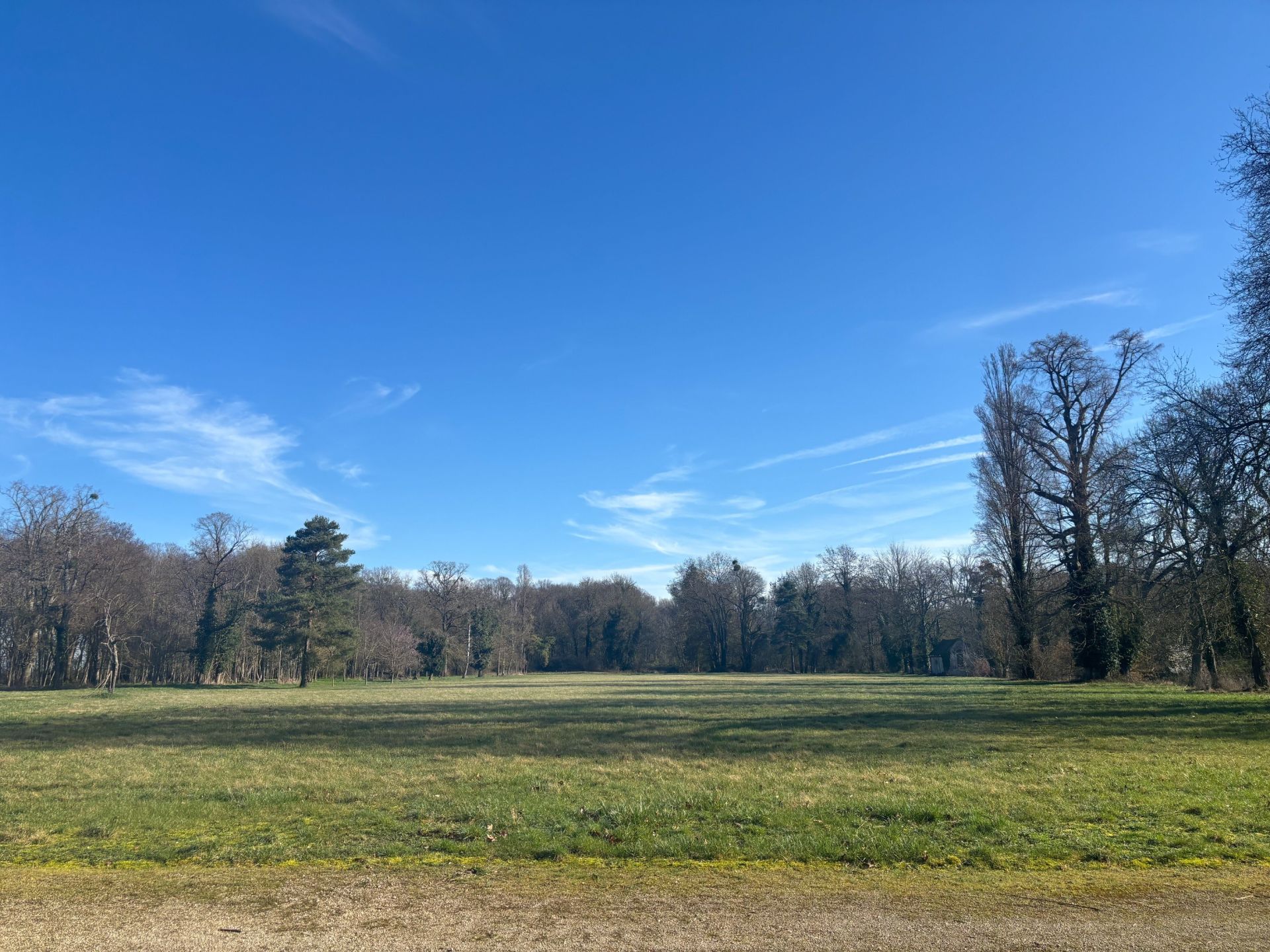 castle 22 Rooms for sale on HUISSEAU SUR MAUVES (45130)
